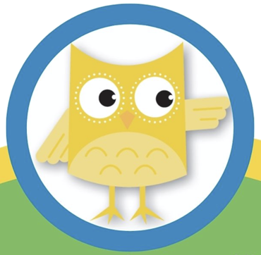 Wise Owls logo