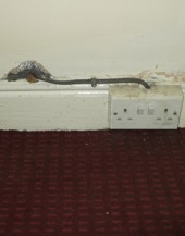 photo of unsafe electrics