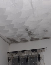 Photo of damp on ceiling