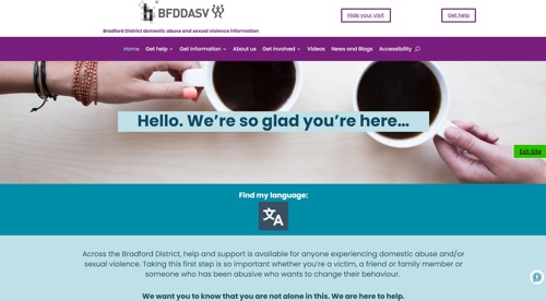 Screenshot of the BFDDASV website